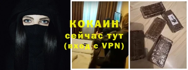 дживик Богородск