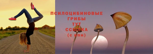 спиды Белоозёрский